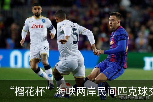 “榴花杯”海峡两岸民间匹克球交流赛在云南省玉溪开赛