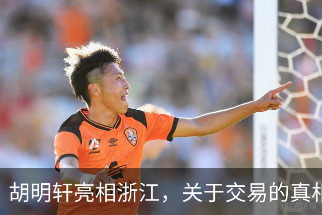 胡明轩亮相浙江，关于交易的真相揭秘